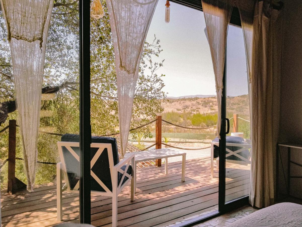 Boskenvid Hotel Boutique, Skypool Valle de Guadalupe Exteriér fotografie