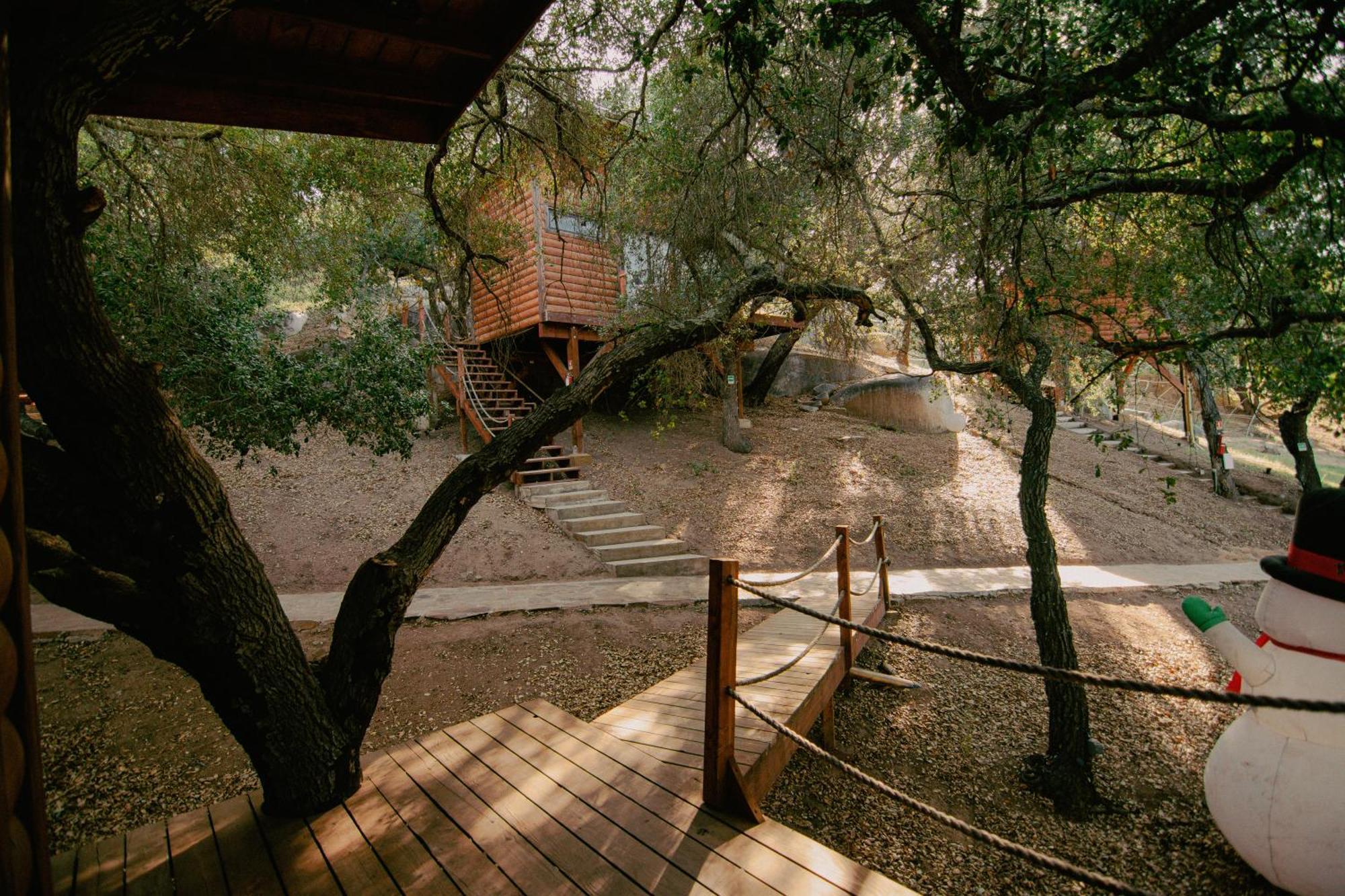 Boskenvid Hotel Boutique, Skypool Valle de Guadalupe Exteriér fotografie